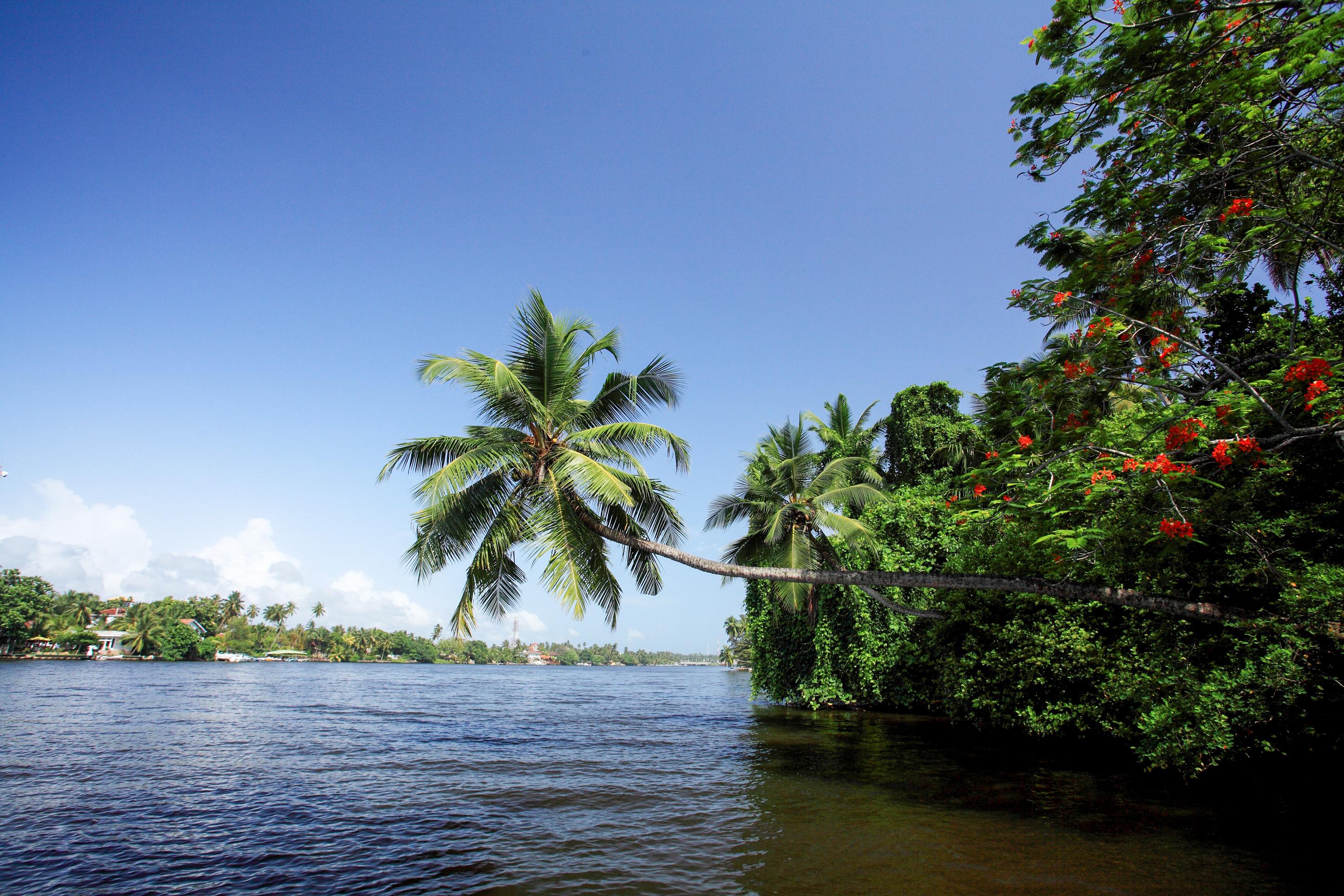 Nh Bentota Ceysands Resort Exterior photo